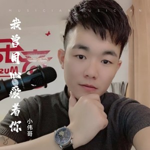 我曾用心爱着你
