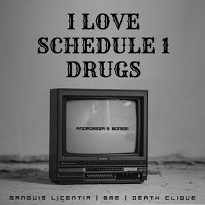 I LOVE SCHEDULE 1 ***** (feat. BØNEZ!) [Explicit]