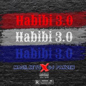 Habibi 3.0 (feat. Dj Pakzen)