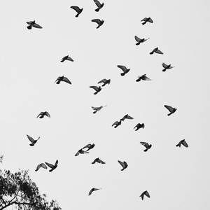 Gutter Baby (Explicit)