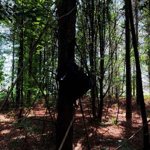 Are We Out Of Time? (feat. 1sapphire)