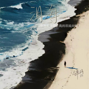 泪海(你怎么舍得让我的泪流向海)