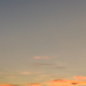 再见,日落骑士。Bye Bye,Sunset Rider. (Demo)