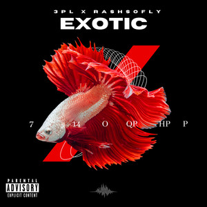 Exotic (Explicit)