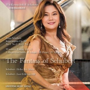 Wanderer Fantasy in C Major, D. 760 - IV. Allegro