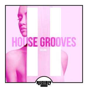 House Grooves, Vol. 1