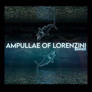 Ampullae of Lorenzini 01