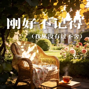 刚好不记得 (我从没有过不舍)
