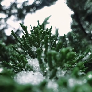 Dynamite (纯音乐版)