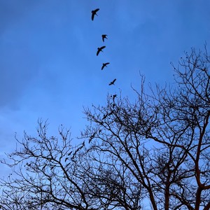 Cooked In The Kitchen (Explicit)