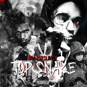 TOP SNAKE (Explicit)