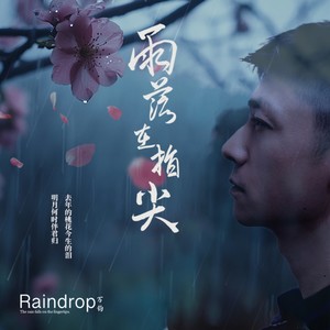 雨落在指尖