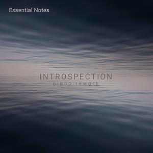 Introspection (piano rework)