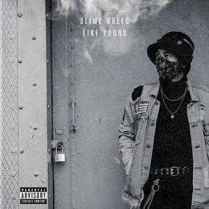 Like yours (feat. Dj Horse) (Explicit)