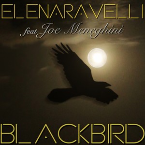 Blackbird