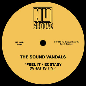 Extasy (What Is It?) (Rough Mix)