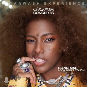 Look don't touch (a carwash experience) (Explicit)