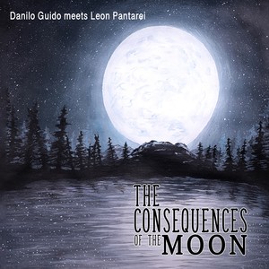 The Consequences of the Moon