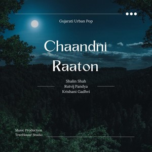 Chaandni Raaton(feat. Rutvij Pandya & Krishani Gadhvi)