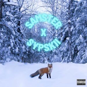 Stone Cold Fox (feat. SypSki)