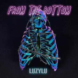 From The Bottom (Explicit)