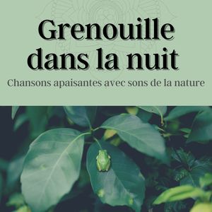 Grenouille dans la nuit: Chansons apaisantes avec sons de la nature pour musicothérapie avant de dormir