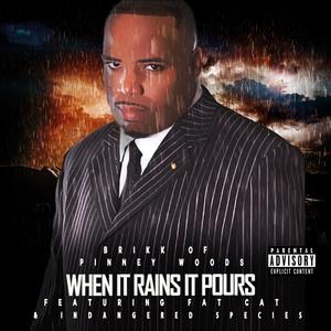 When It Rains It Pours(feat. Fat Cat & Indangered Species) (Explicit)
