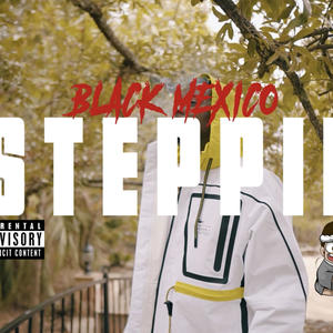 STEPPIN (Explicit)