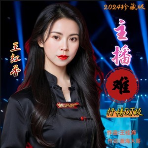主播难-抒情DJ版 (伴奏)