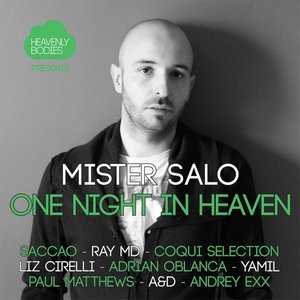 One Night in Heaven, Vol. 5 - Mixed & Compiled by Mister Salo