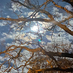 Hope (feat. Fynic) (Explicit)