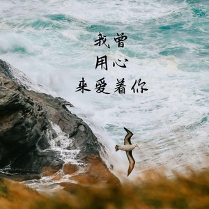 我曾用心爱着你