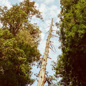 fizz (feat. Nikolai Kravchuk) (Instrumental)