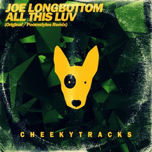 All This Luv (Poomstyles Radio Edit)