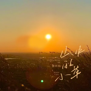 山中的小草 (伴奏)