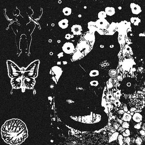 Big Dawg (feat. Lando Santana) (Explicit)