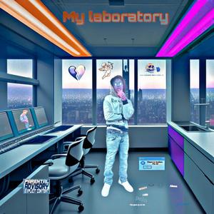 My Laboratory ￼ (Explicit)