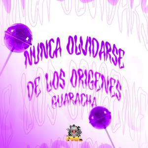 Nunca Olvidarse De Los Origenes (Guaracha)