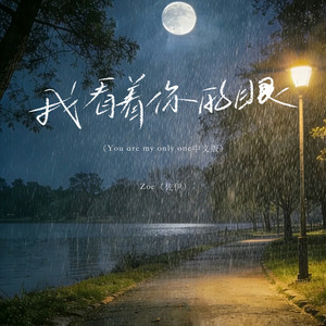 我看着你的眼 (国语)封面