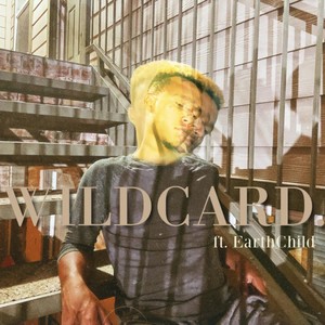 WILDCARD. (Explicit)