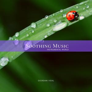 Soothing Music - Instrumental World. Vol. 4