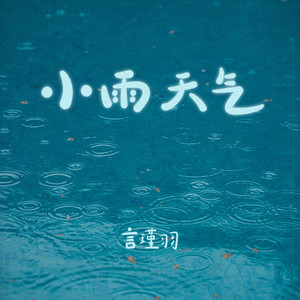 小雨天气 - 言瑾羽封面
