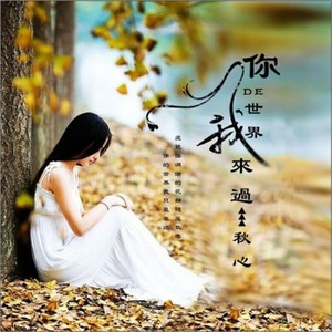 你的世界我来过 (新版)