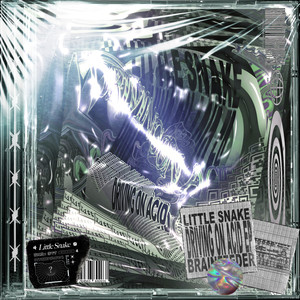 LITTLE SNAKE - RTF150