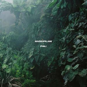 MARSUPILAMI