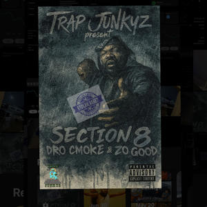 Did it all (feat. Lil Awree) (Explicit)