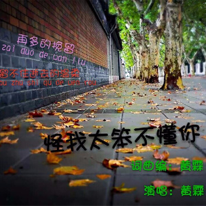 怪我太笨不懂你