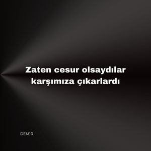 Zaten cesur olsaydılar karşımıza çıkarlardı