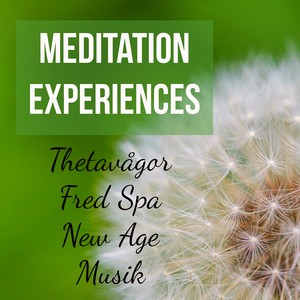 Meditation Experiences
