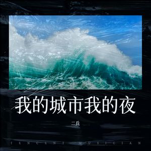 我的城市我的夜